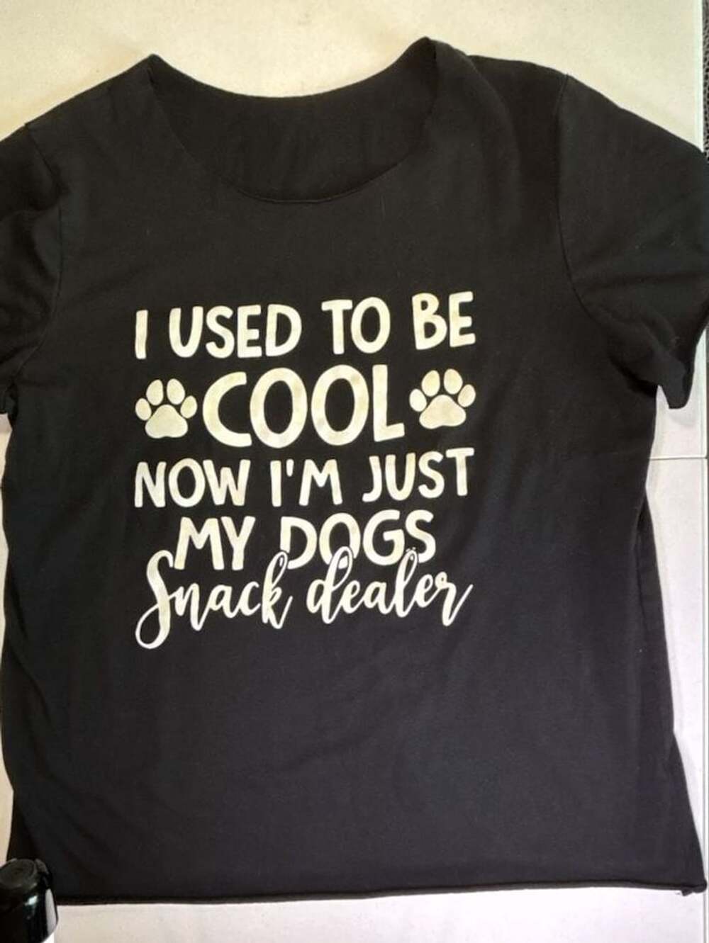 I Used To Be Cool Now I'm Just My Dogs Snack Dealer Graphic T-Shirt